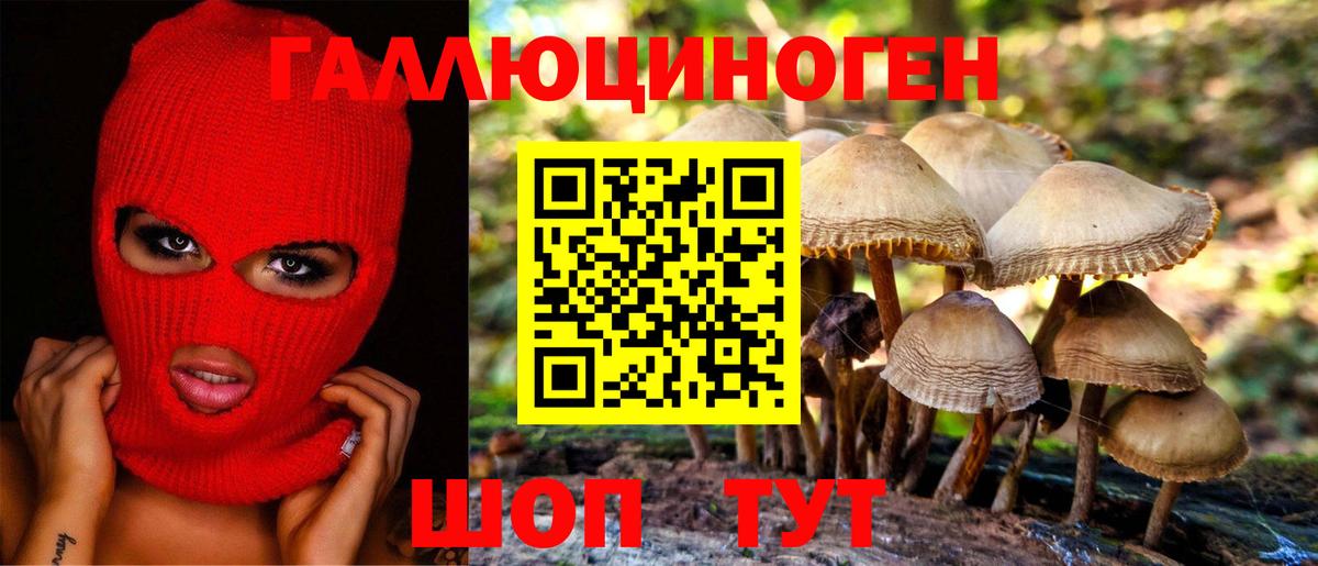 Псилоцибиновые грибы GOLDEN TEACHER Кемерово