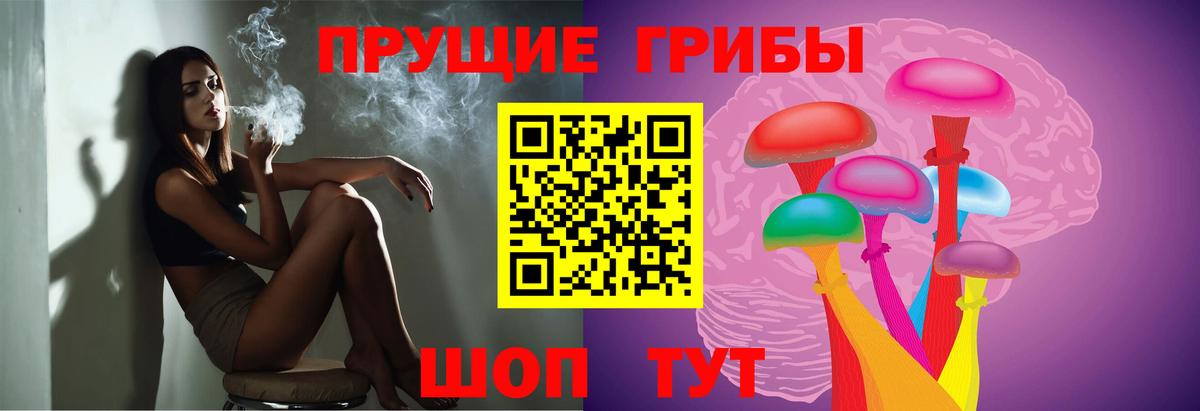 купить  цена  Галлюциногенные грибы прущие грибы  Вход с VPN  Кемерово 